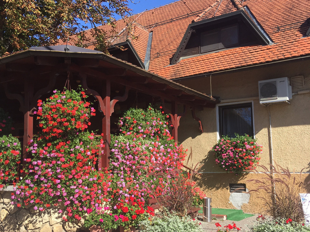 Pernica旅游攻略图片