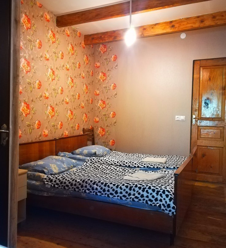 Guesthouse Svanuri Saxli主图