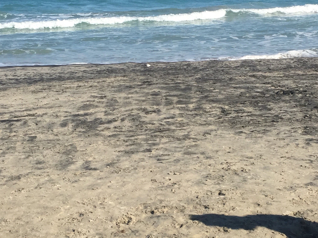 奥特朗托阿泰尔塞拉德利阿利米尼住宅 3主图