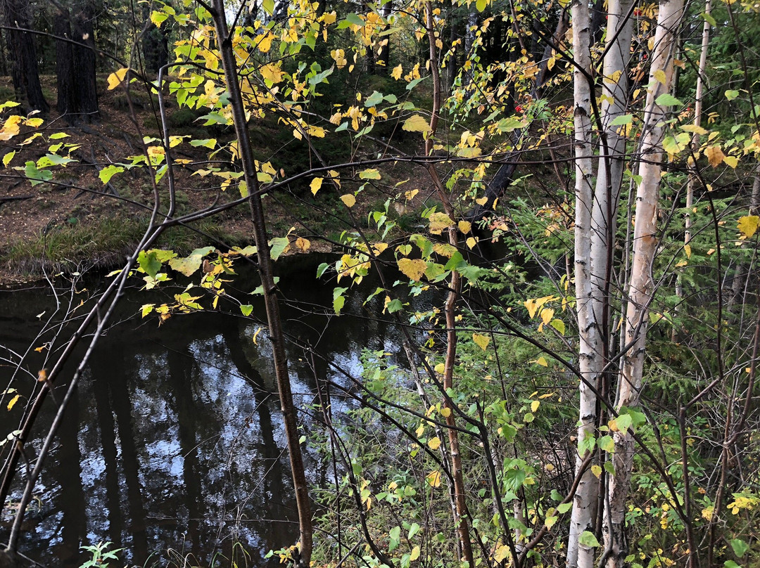 Visimskiy Reserve景点图片