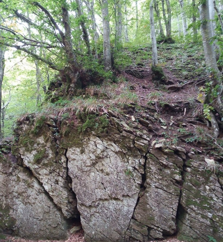 Eremo di Sant'Alberico景点图片