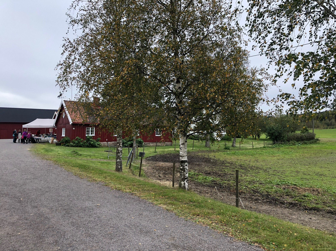 Skjerven Farm-奥斯陆必去景点