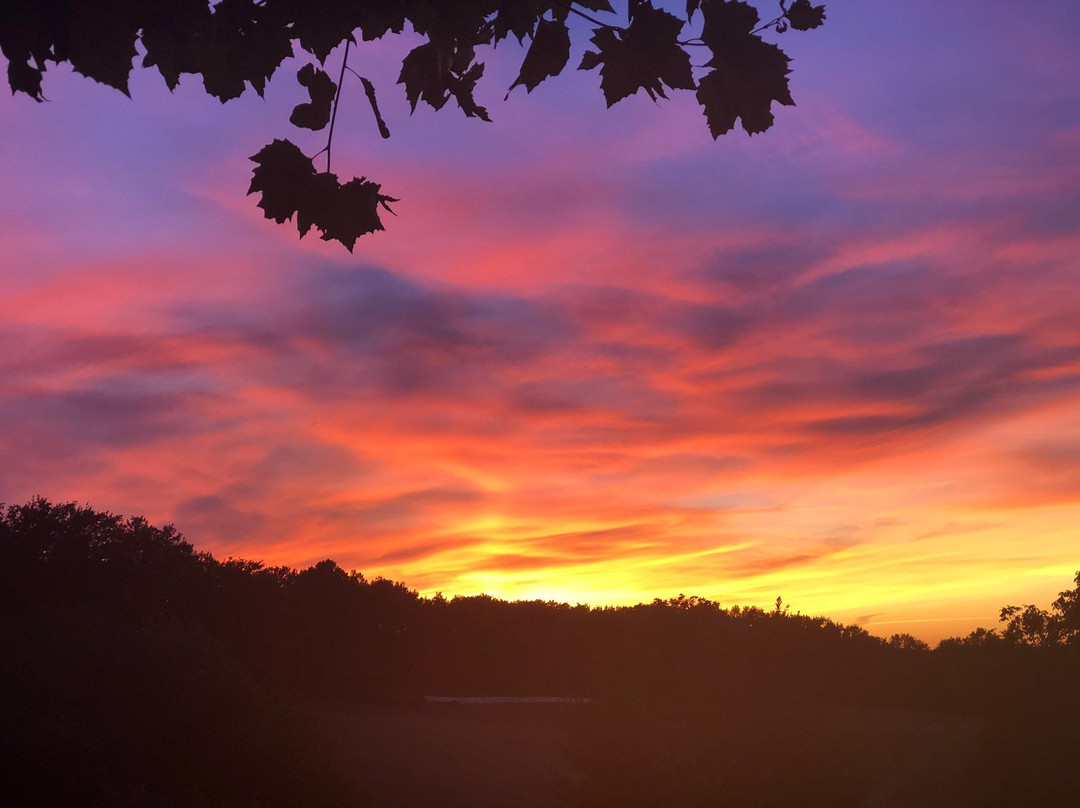 Chambres de Pech Mortier主图