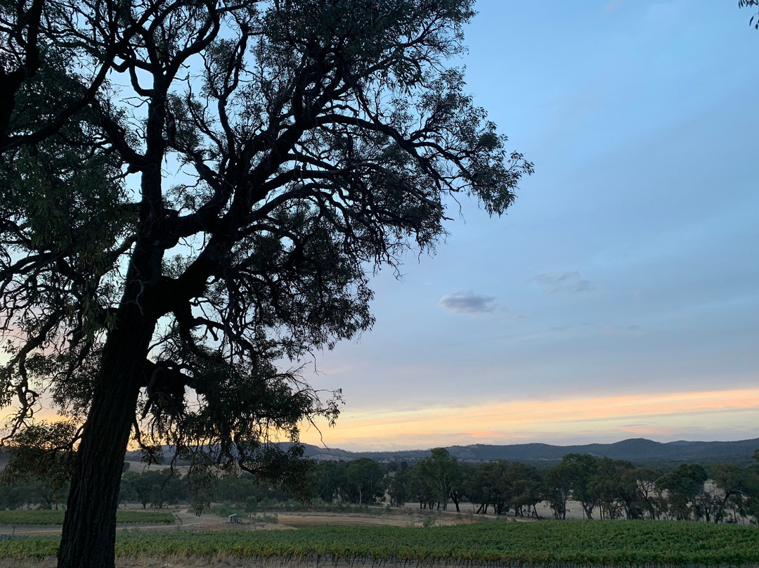 Bigibila Wines-Moonambel必去景点