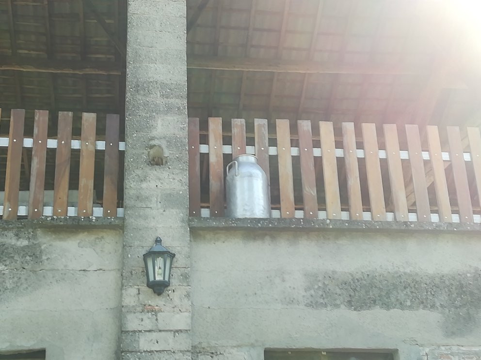 Mulino di Prada主图