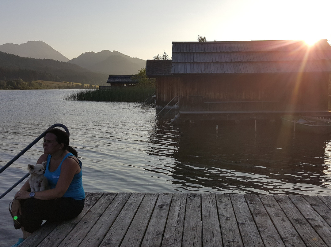 Gastehaus & Reiterhof Nemast主图