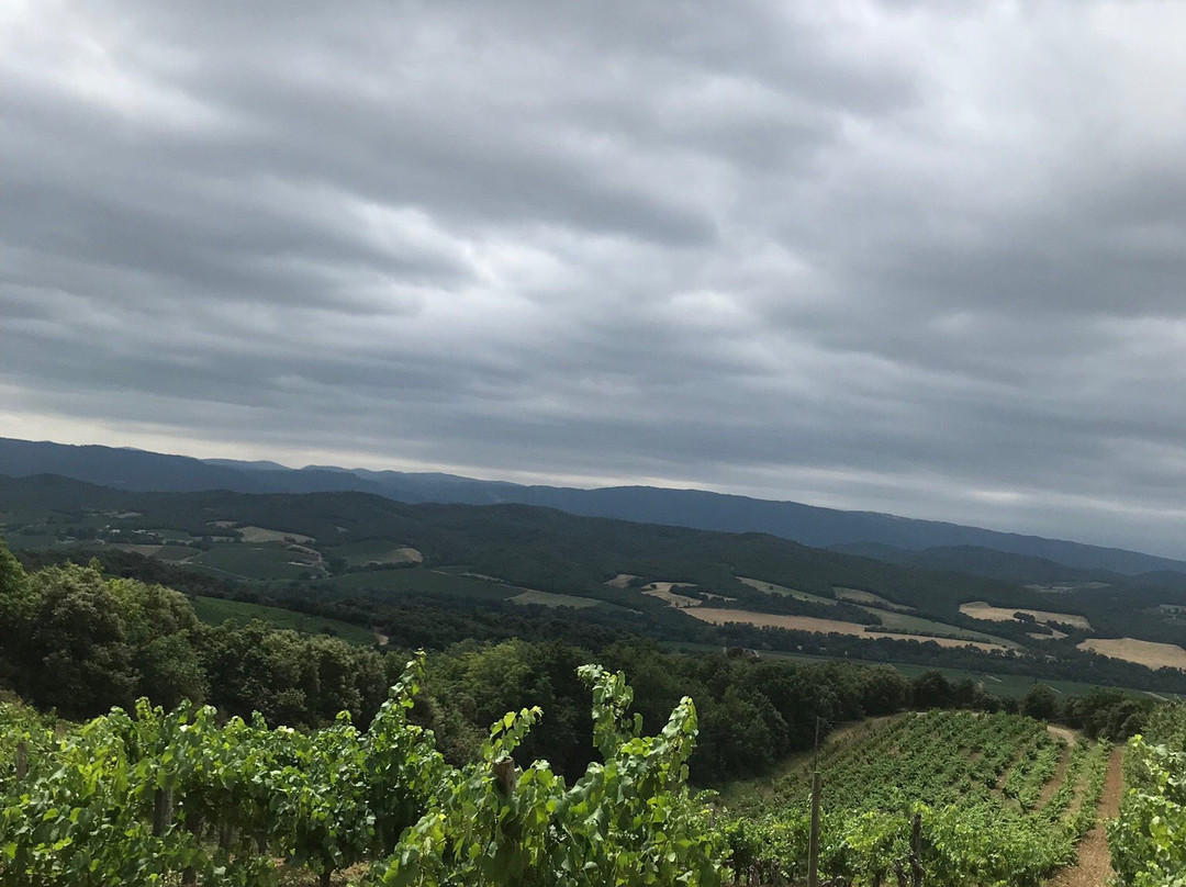 Domaine la Coume-Lumet-Cepie必去景点