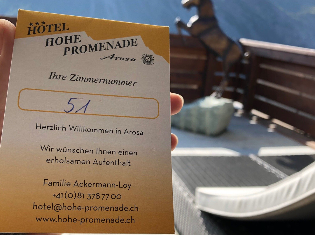 Hotel Hohe Promenade主图