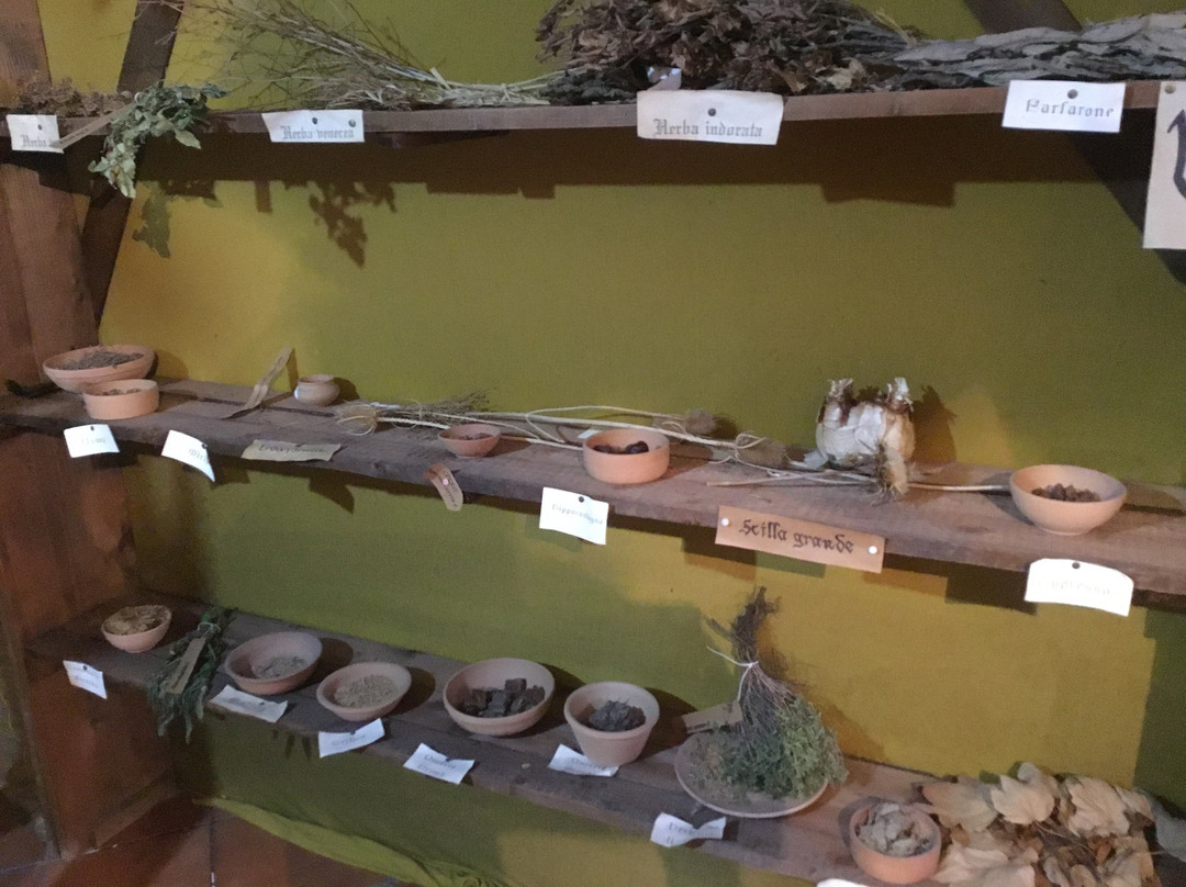 Museo delle Erbe - Viridairum-Teggiano必去景点