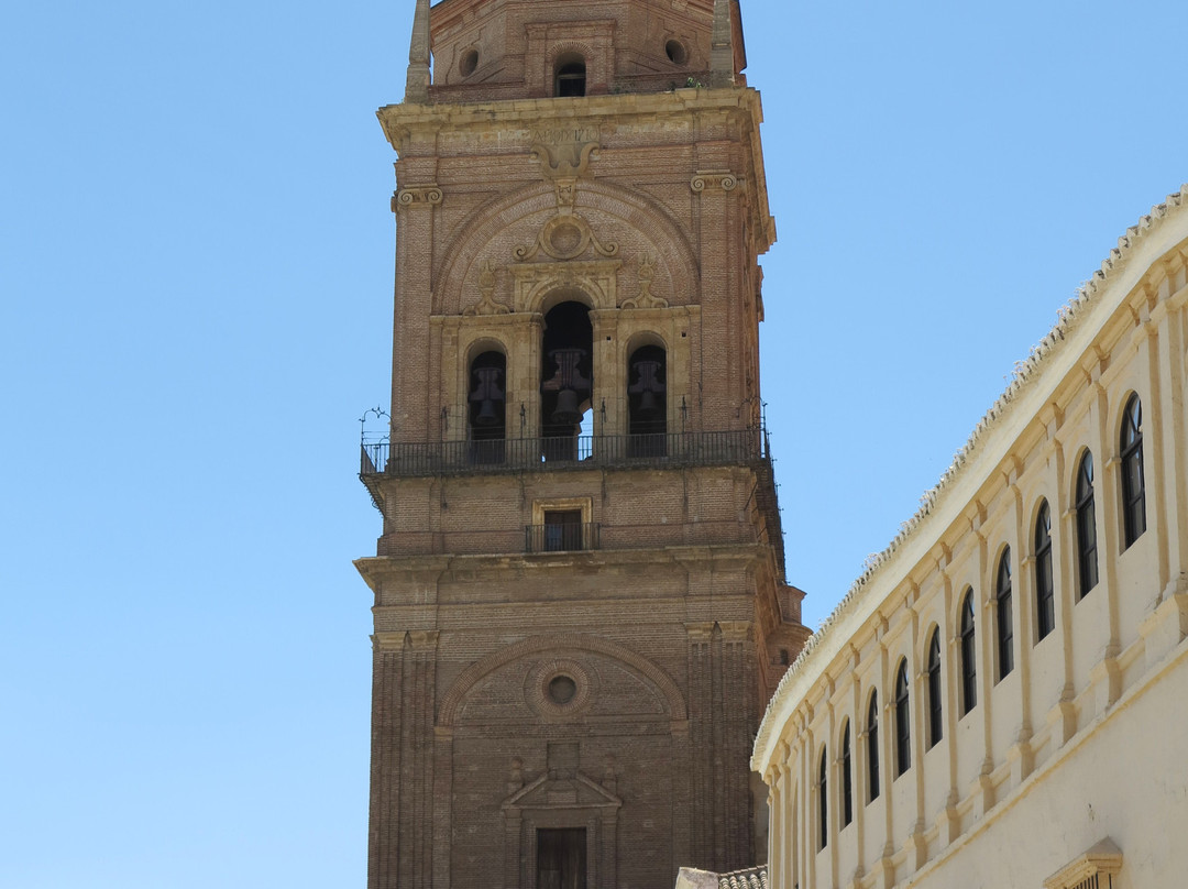 Guadix Cathedral景点图片