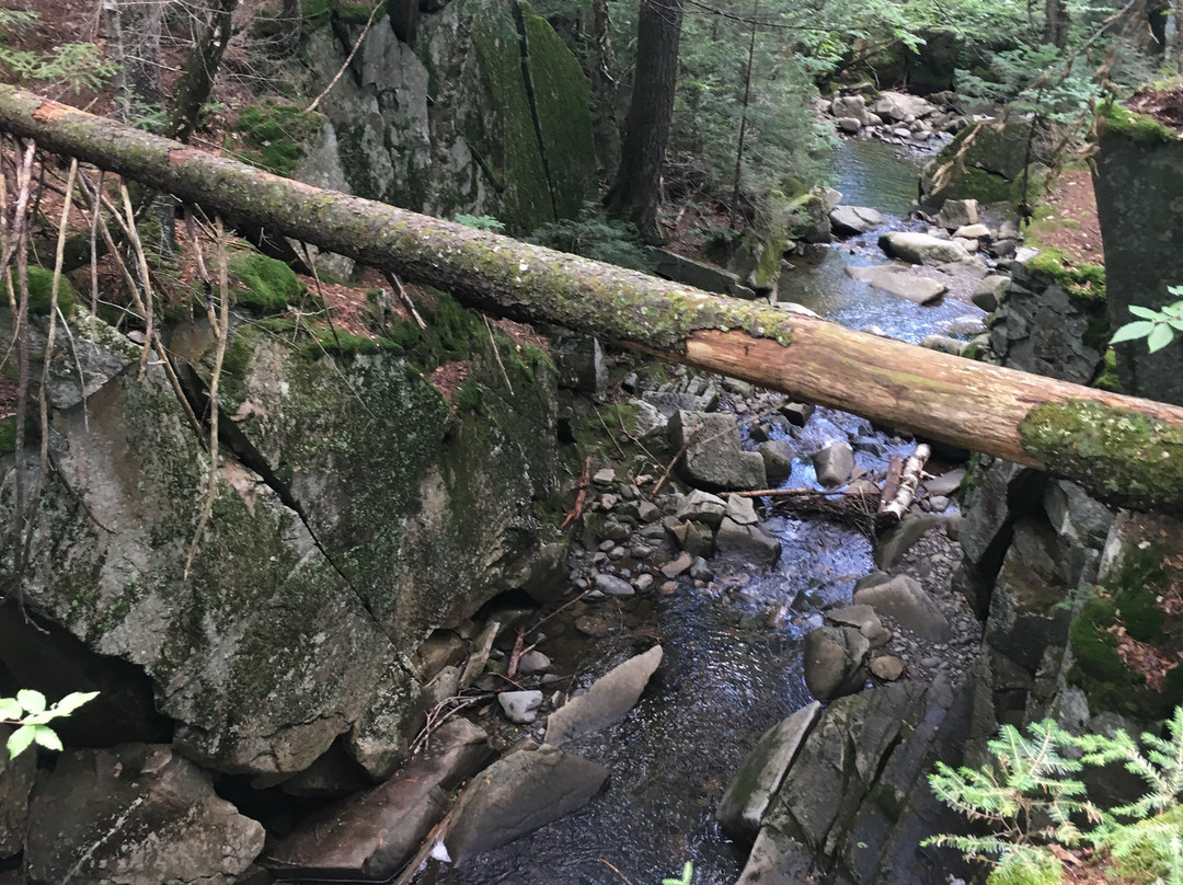 Dixville Flume景点图片