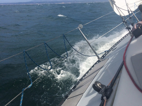 Carrera Sailing-蒙特雷必去景点