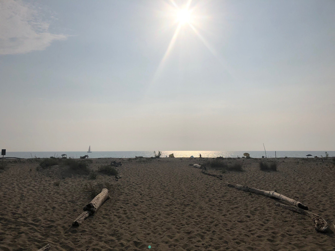 Spiaggia della Lecciona景点图片