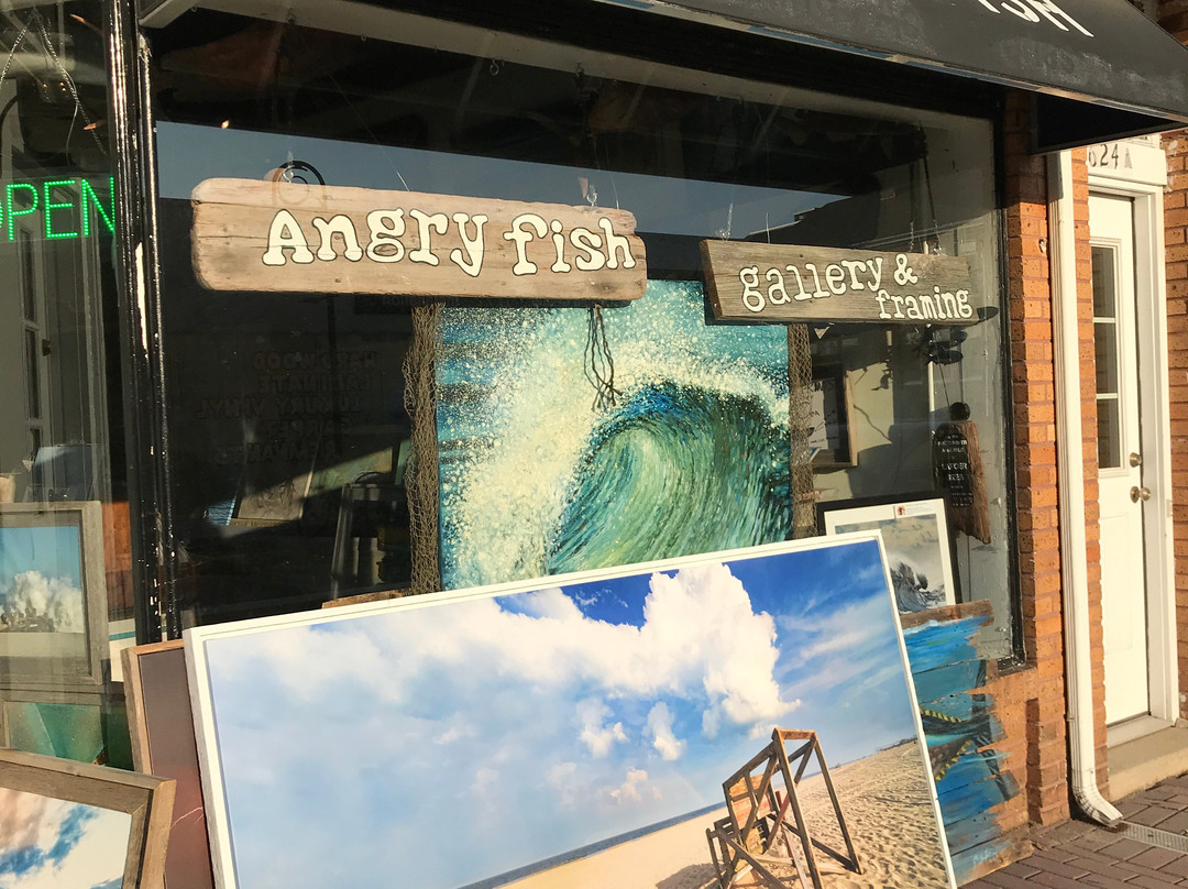 Angry Fish Gallery LLC景点图片