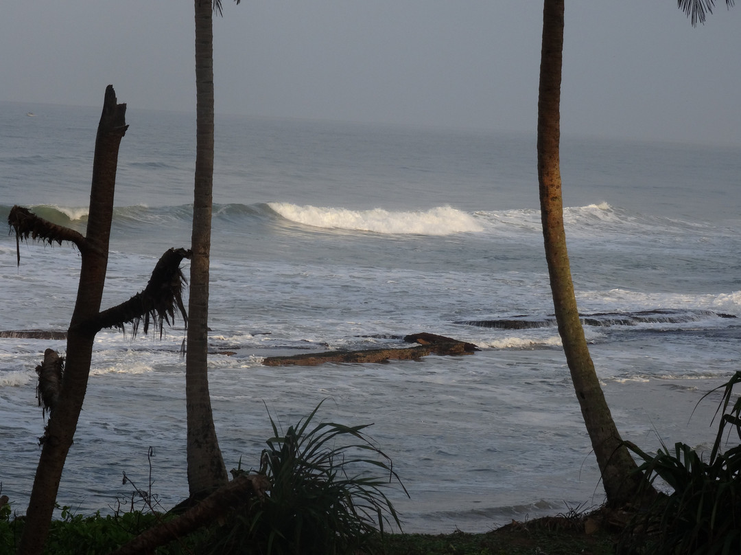 The Garden Beach Ayurveda Resort主图