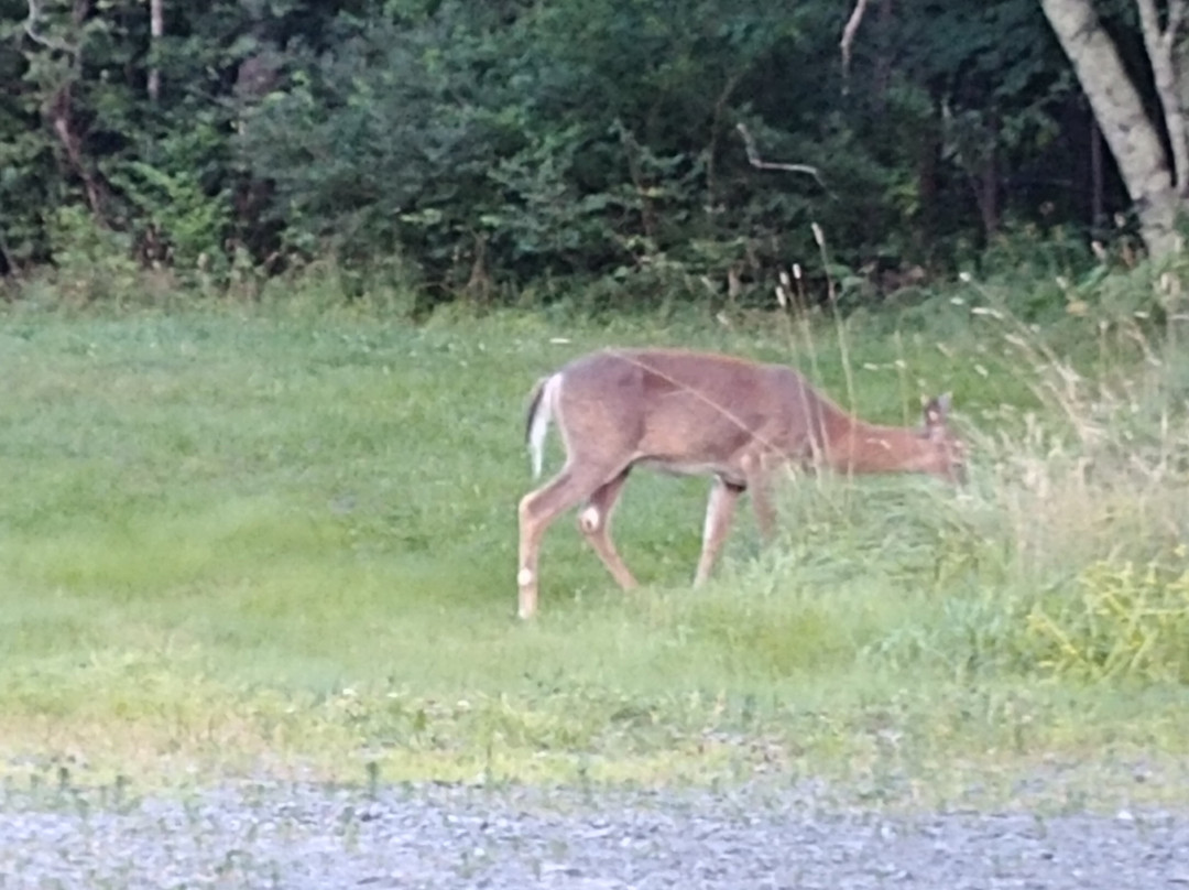 Homeport Motel主图