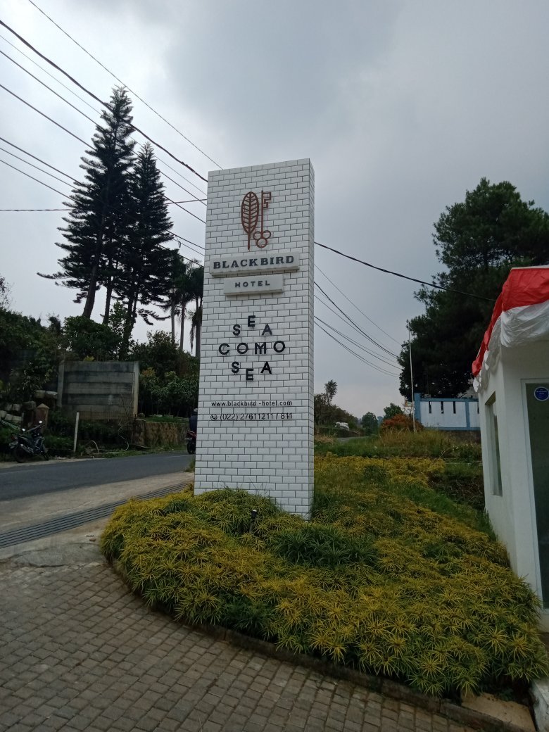 Blackbird Hotel-官方