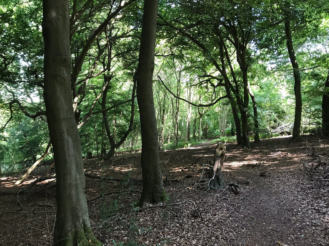 Chiltern Walks景点图片