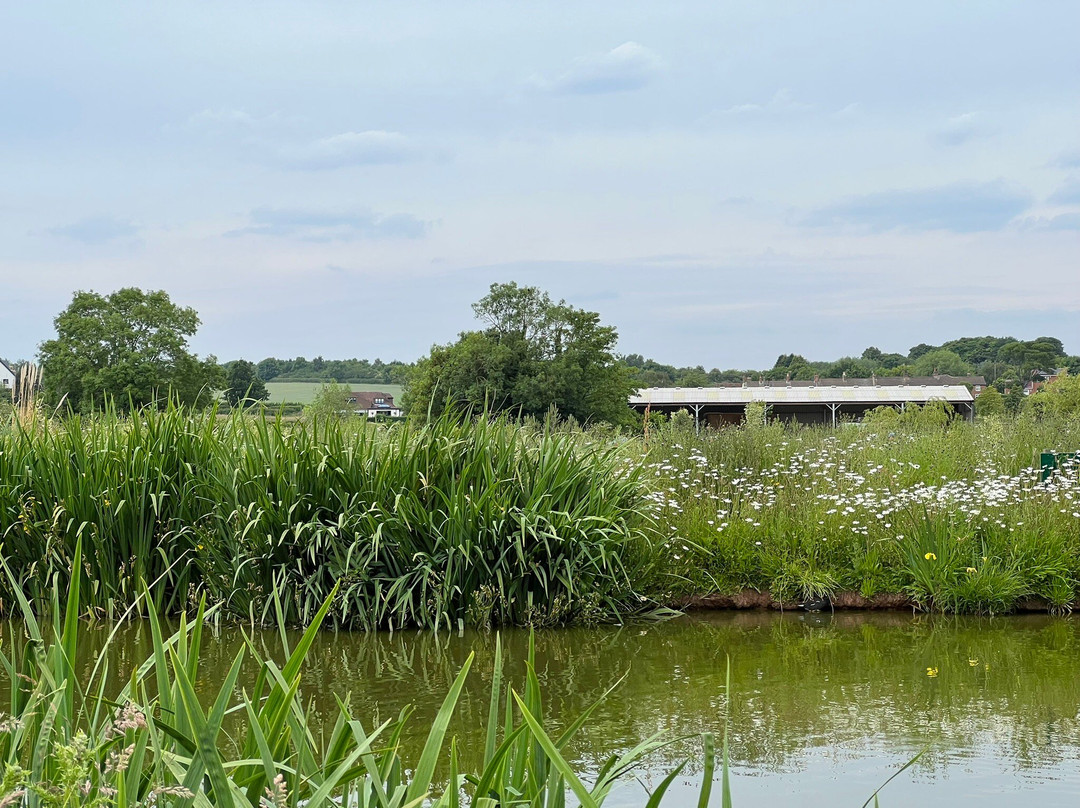 Shelt Hill Farm & Fishery