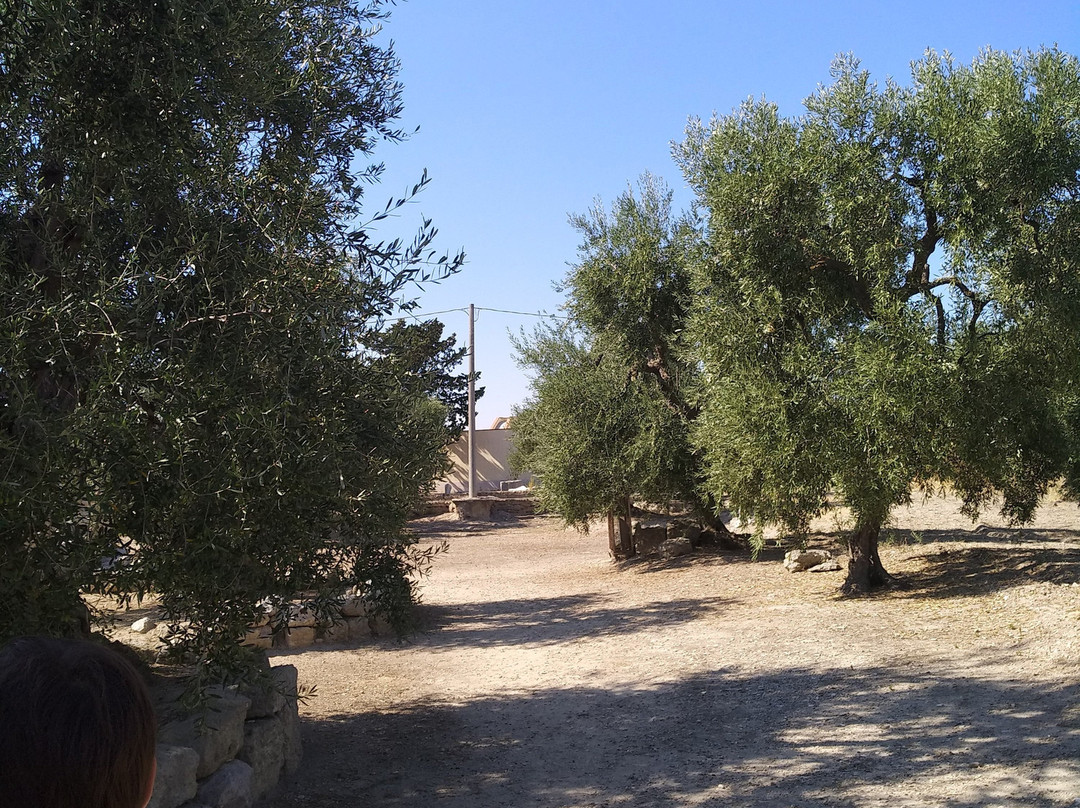 Il Parco Archeologico di San Leucio-Canosa di Puglia必去景点