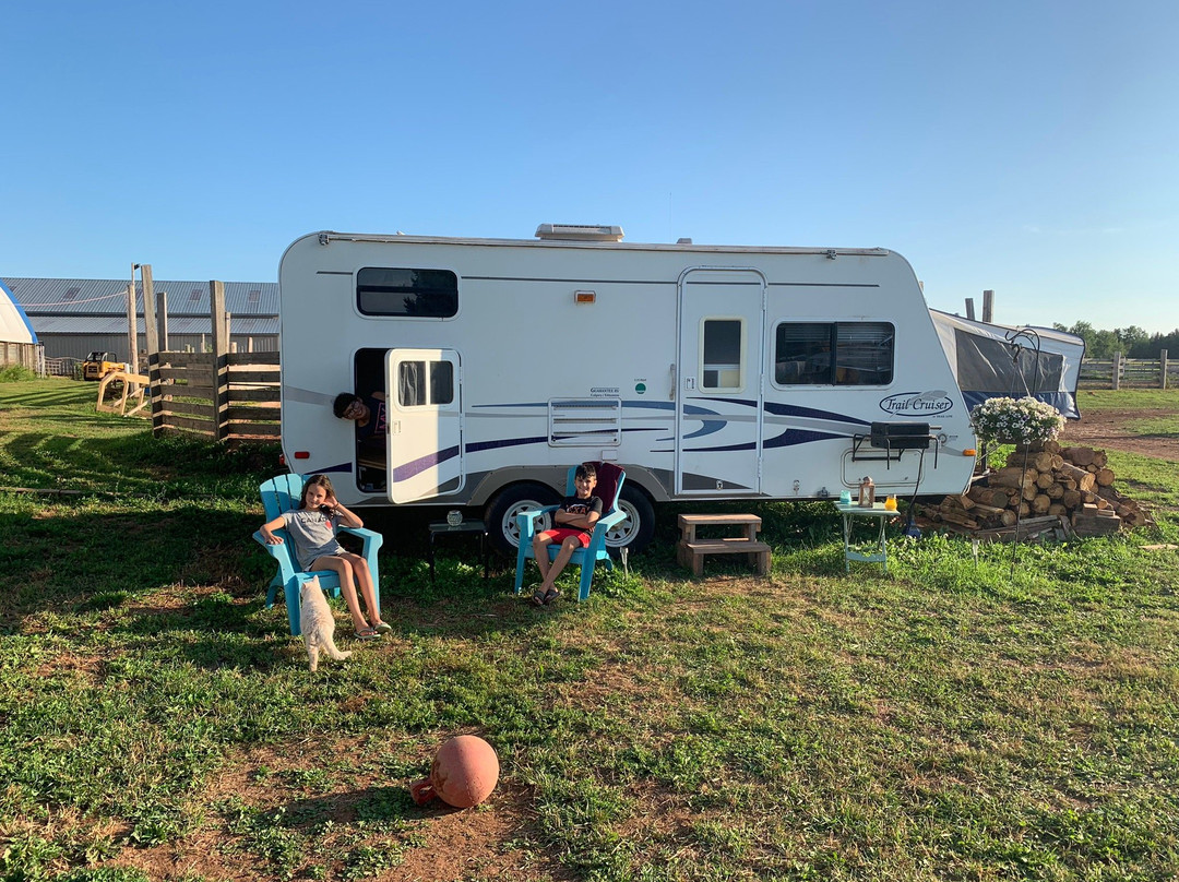 PPH Farms-夏洛特镇必去景点