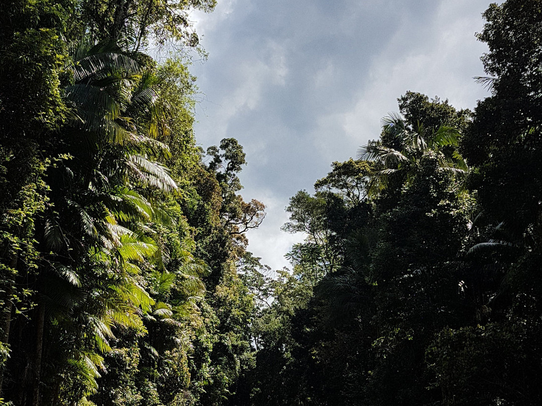 Red Cedar Park景点图片