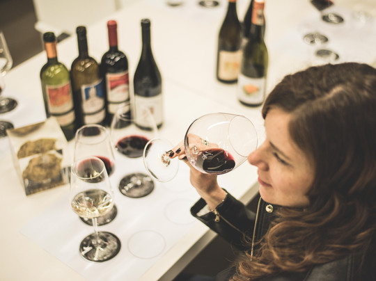 The Grand Wine Tour-阿尔巴必去景点