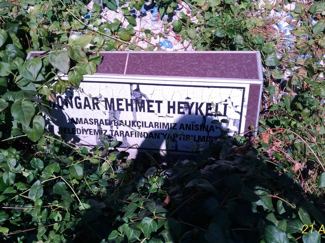 Balıkçı Congar Mehmet Anıtı景点图片