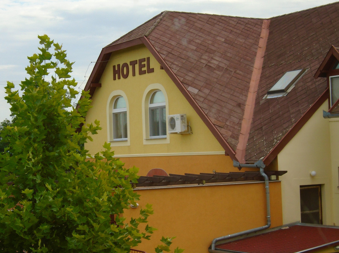 Patyi Etterem es Hotel主图