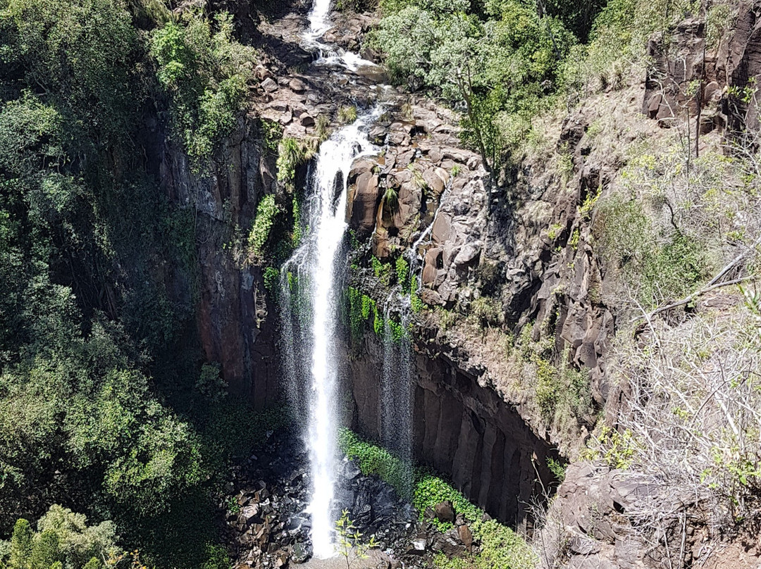 Dagg Falls Lookout-Killarney必去景点