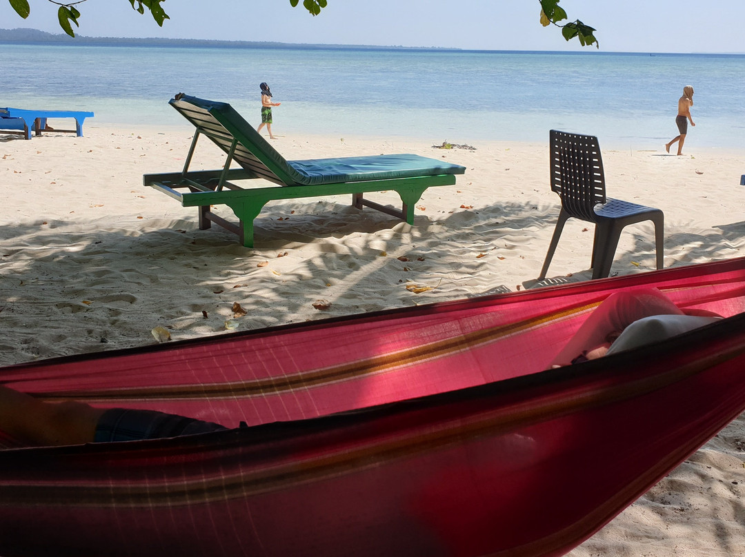 Hoga Island Dive Resort主图