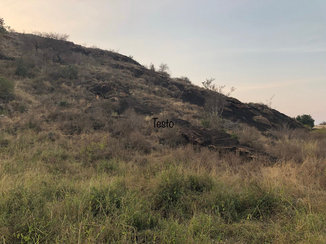 Roaring Rocks-西察沃国家公园必去景点