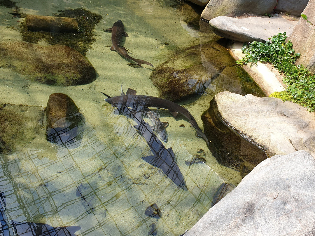 Gaehwa Art Park-保宁市必去景点