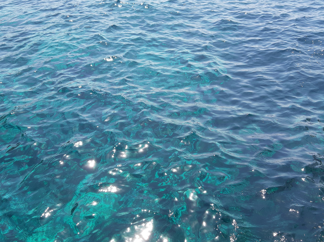 Atlantide Escursioni Isole Eolie景点图片