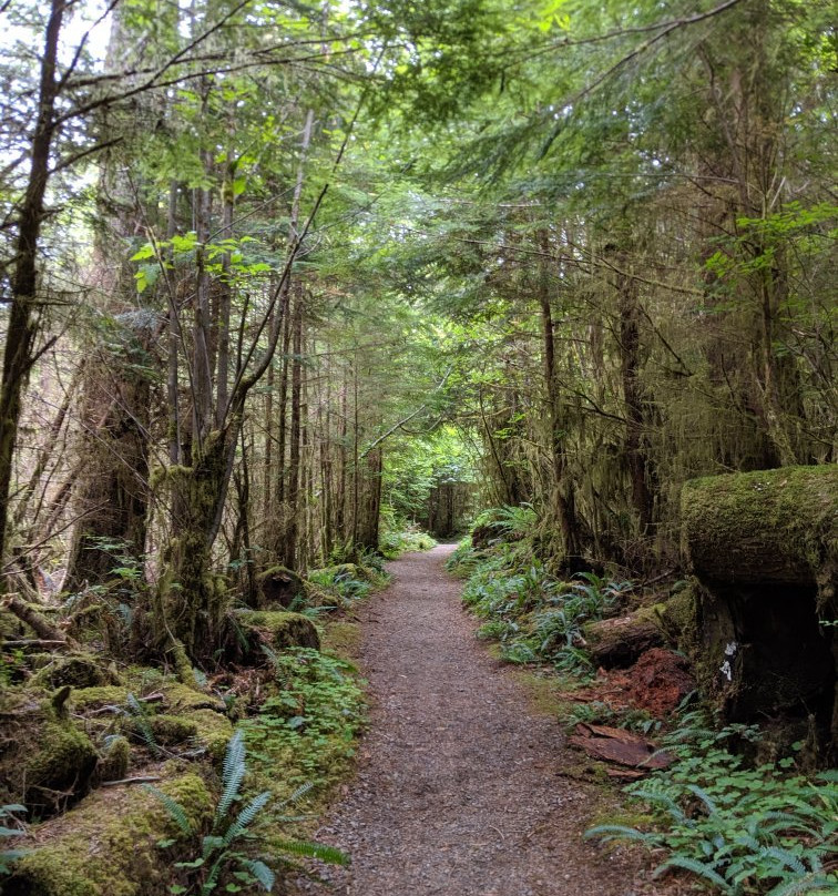 Rain Forest Nature Trail景点图片