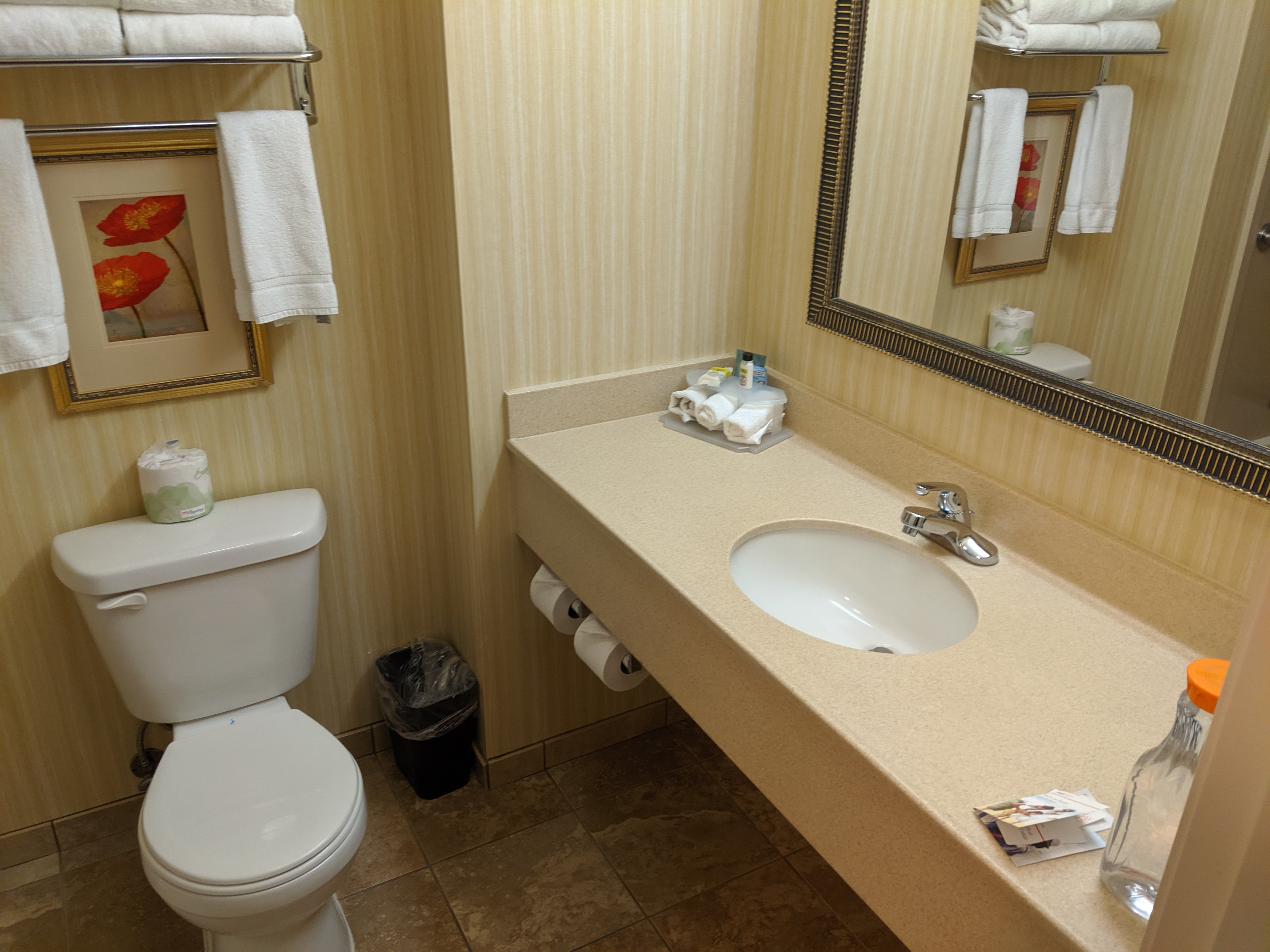 Holiday Inn Express & Suites Chehalis-centralia By IHG-浴室
