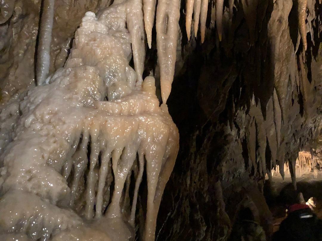 Grotte de Fontrabiouse景点图片