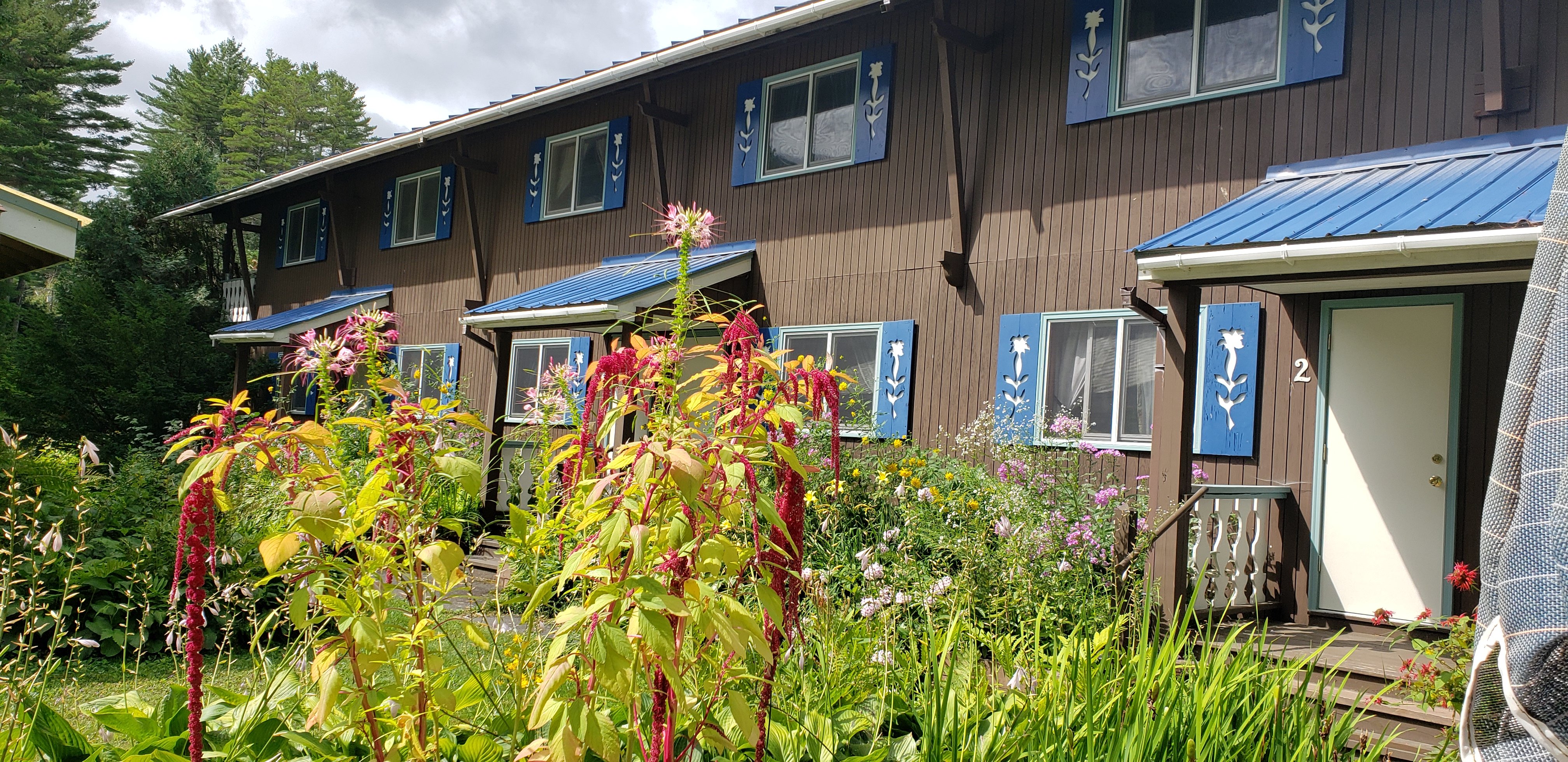 Blue Gentian Lodge-官方