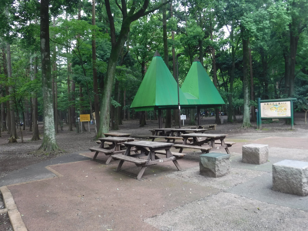 Teganooka Park-柏市必去景点