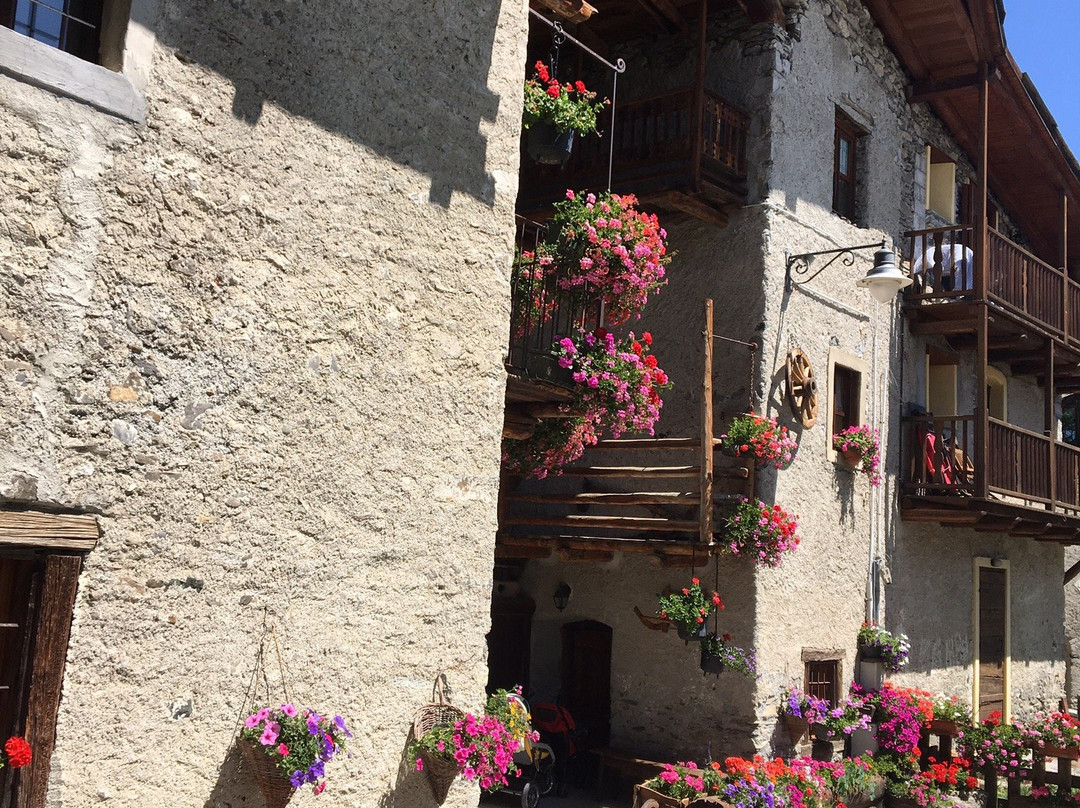 Agriturismo Barba Gust