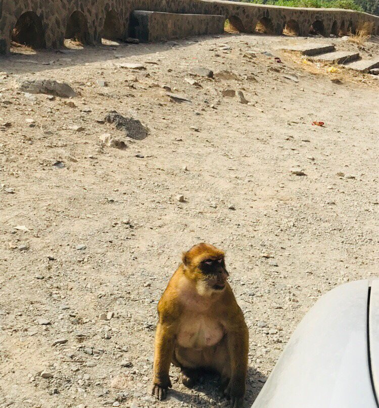 Chrea National Park景点图片