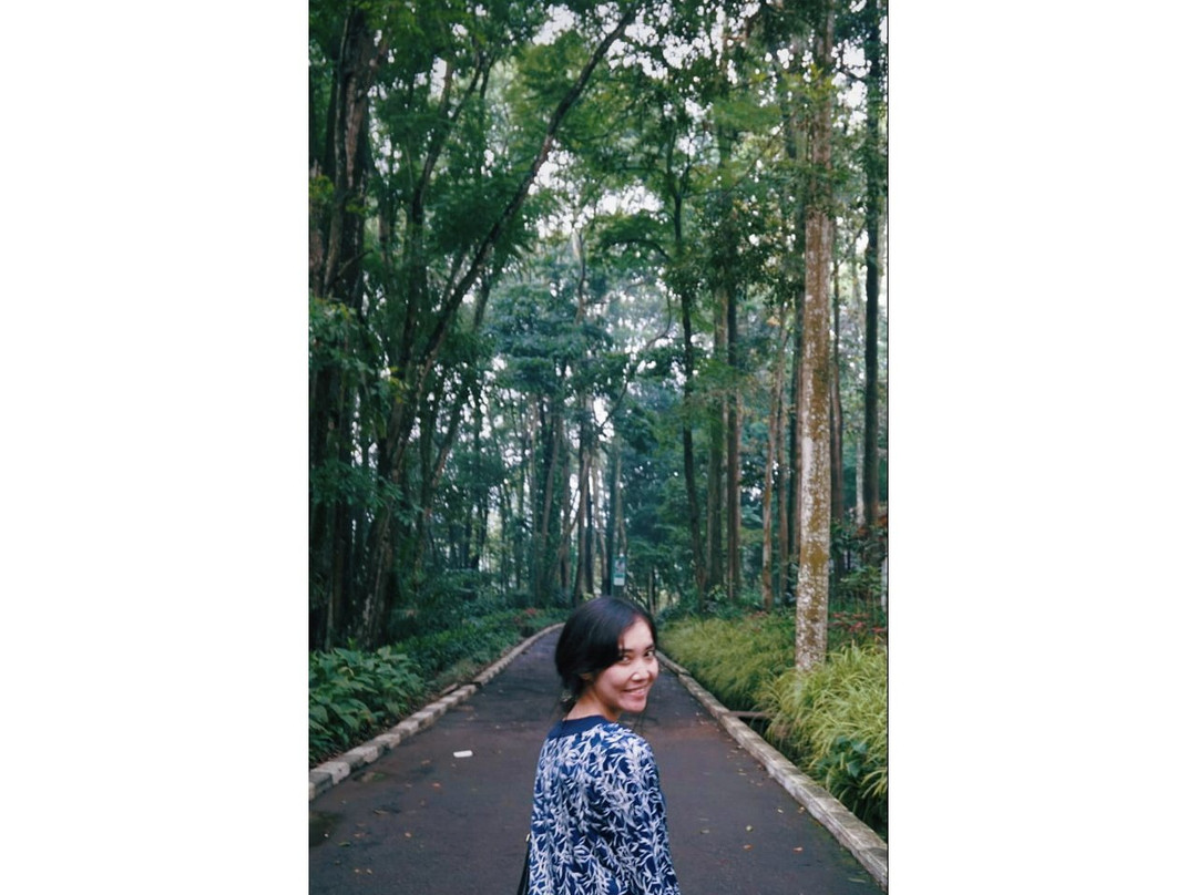 Forest Park Conservation Area Tahura Ir. H. Juanda-万隆必去景点
