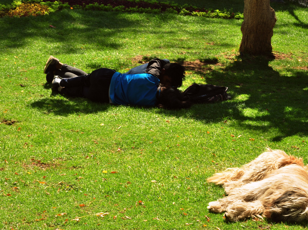 Simon Bolivar Park-苏克雷必去景点
