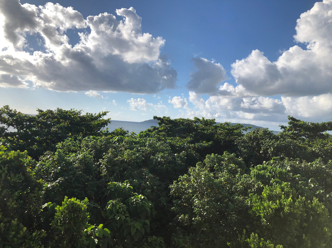 富崎度假村酒店主图