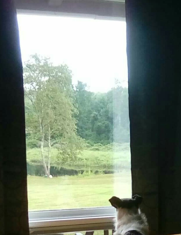 Copper Lantern Motor Lodge主图