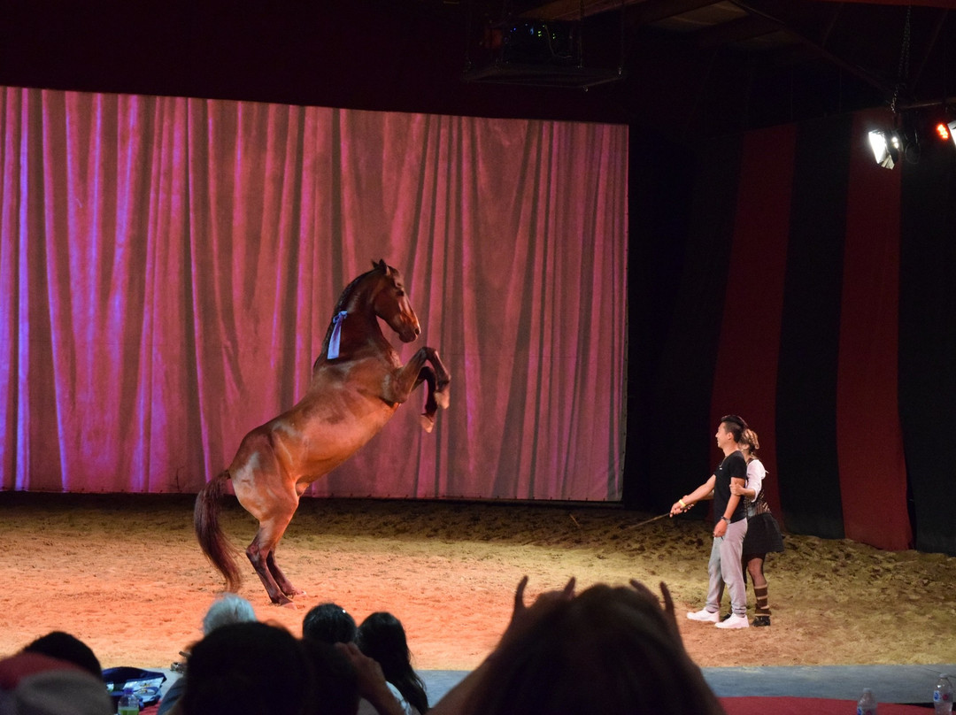 Cavaland-Sainte-Marguerite-du-Lac-Masson必去景点