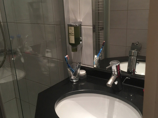 法兰西酒店主图