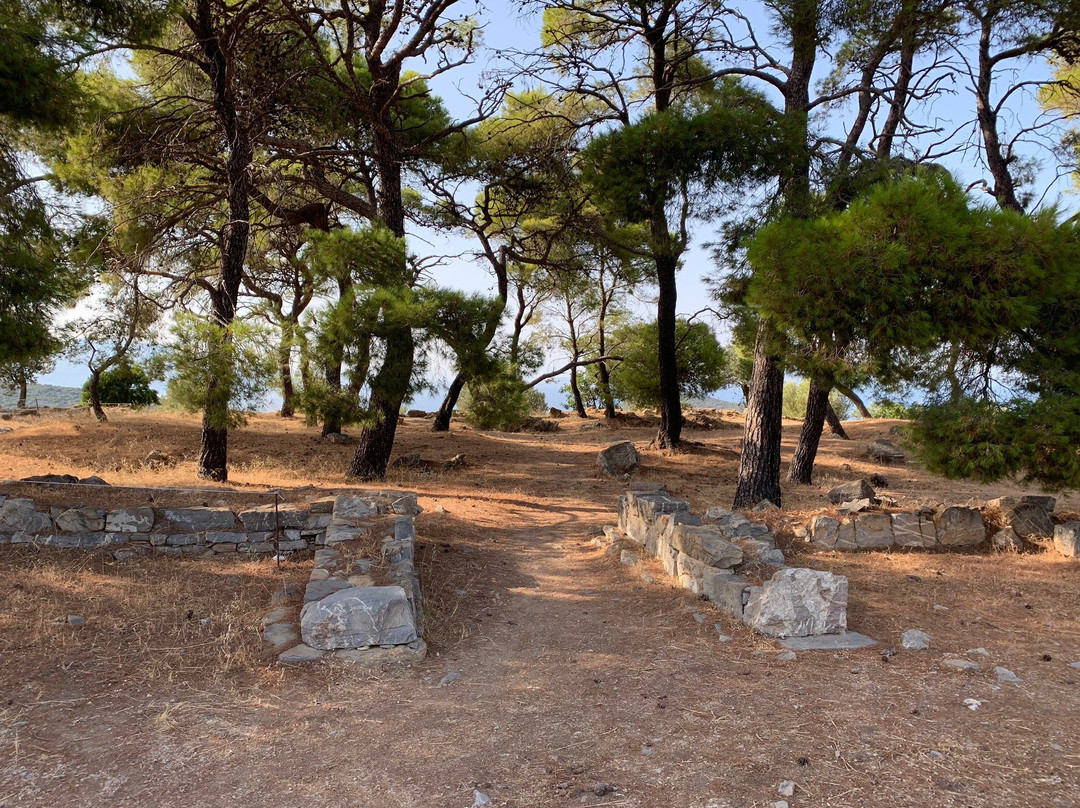 Temple of Poseidon景点图片