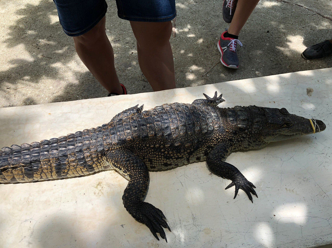 Wotoch Aayin (la Casa Del Cocodrilo)-Calkini必去景点
