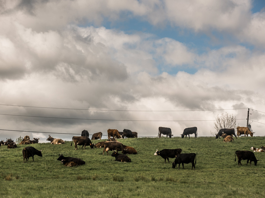Hawthorne Valley Farm-Ghent必去景点